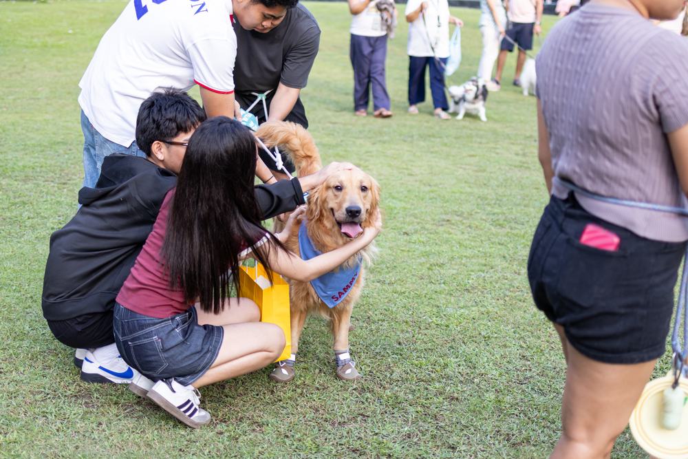 Two visitors crouching on the grass to hug a golden retriever