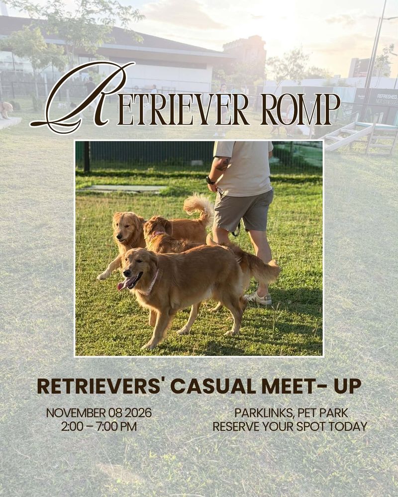 Retriever Romp poster: a retrievers’ casual meet-up on November 8, 2026, 2:00 to 7:00 PM at Parklinks Pet Park. Three golden retrievers on the grass beside their owner